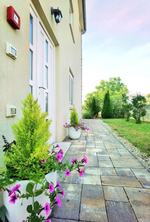 Guesthouse Olei Малинська Екстер'єр фото