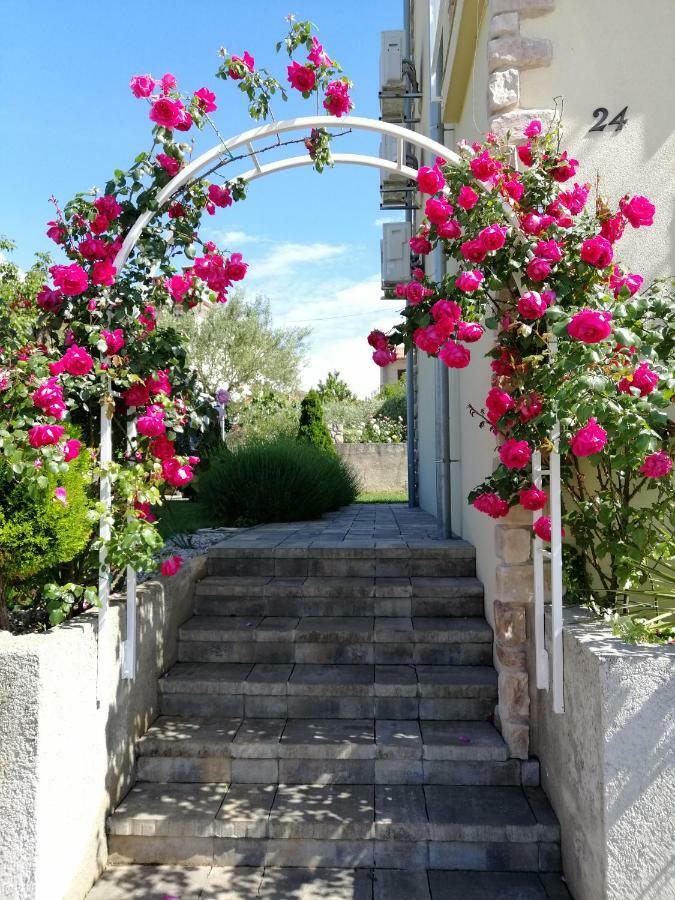 Guesthouse Olei Малинська Екстер'єр фото